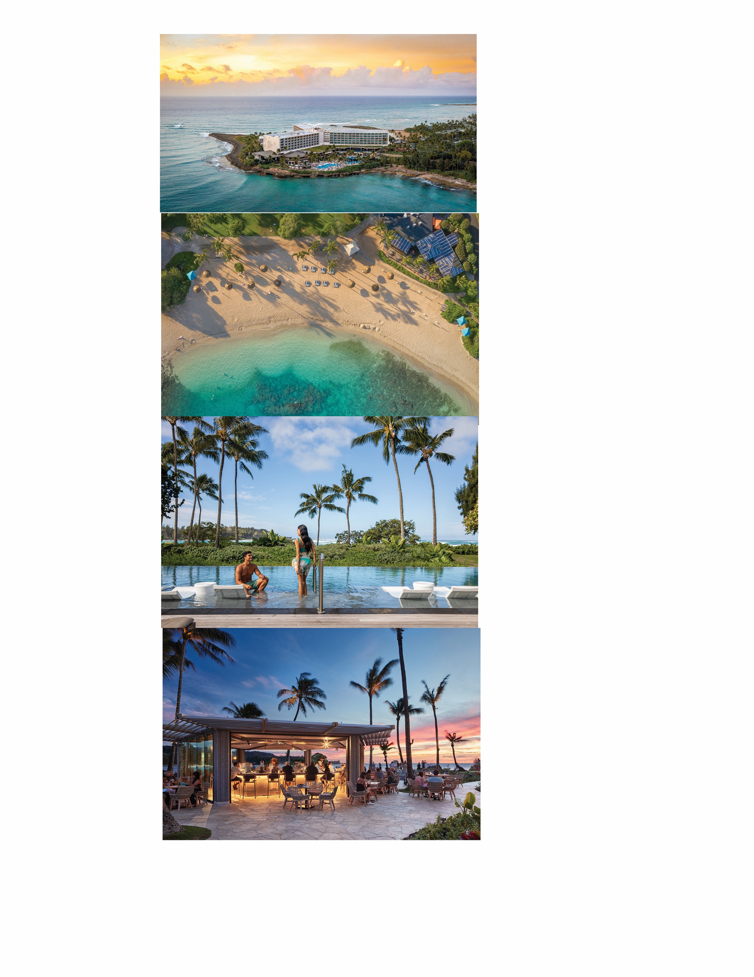 turtle bay montage